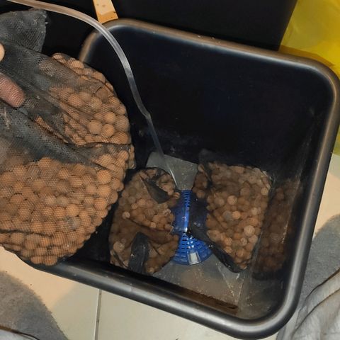 White Widow XXL growlog photo: Vorbereitung zum umtopfen in autopots. Unter den Dome die Einlage mit der Kupferseite nach oben in den Topf legen, Dome mittig platzieren, Schlauch in einer Ecke nach oben legen und um den Dome 3-4 Säckchen mit Ph regulierten tonkugeln legen. Dome sollte mit gerne von den Säckchen bedeckt sein, damit nicht zu viel Coco Substrat runterrieselt...