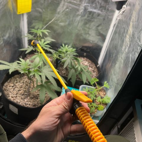 24K 02 #2 growlog timeline photo