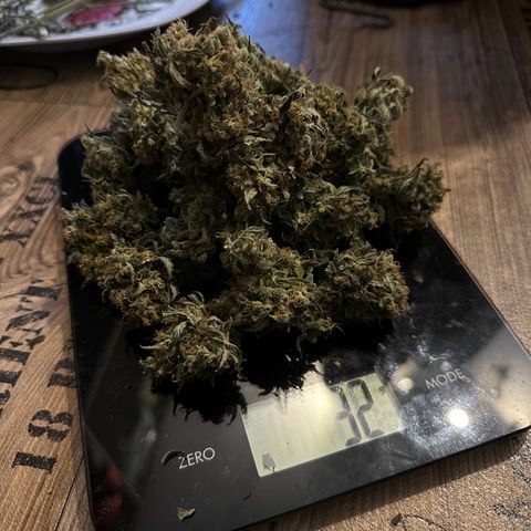 Do-Si-Dos growlog timeline photo