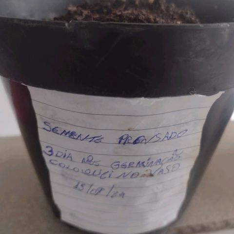 "Sky"🌱 growlog photo: Fotos tiradas Apartir do dia 15 até ontem que foi dia 19.🌱💚