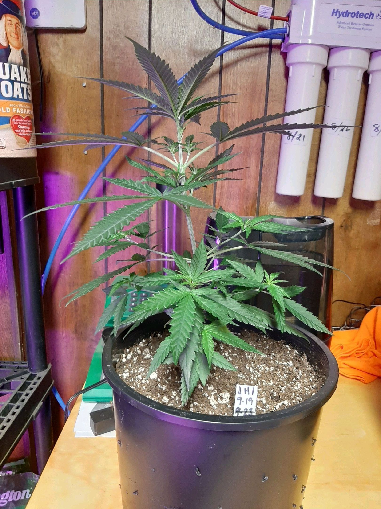 JH1 growlog header