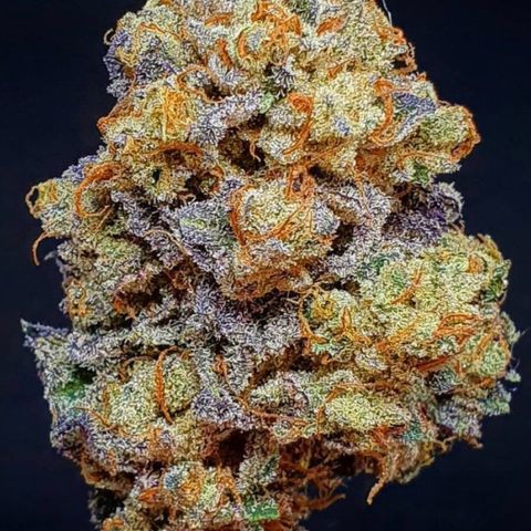 Banana Cake🍌🎂 growlog timeline photo