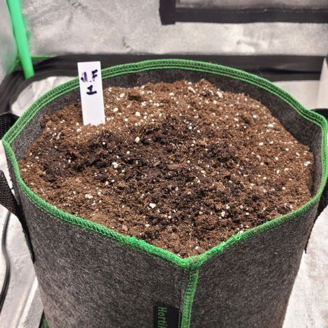 Photon1 growlog timeline photo