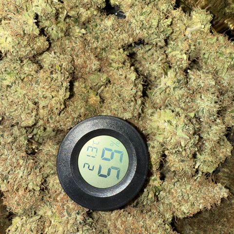 Wedding Cake growlog timeline photo