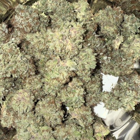 Iceberg growlog timeline photo