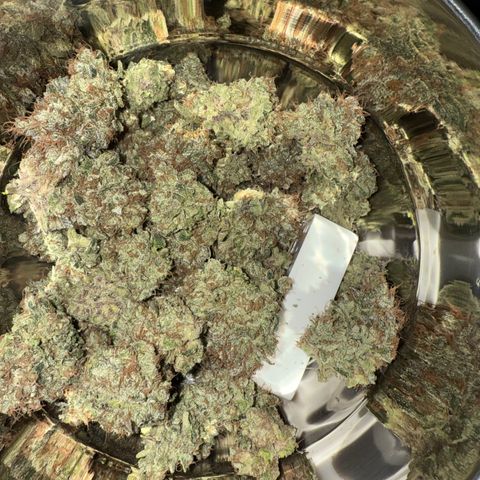 Iceberg growlog timeline photo