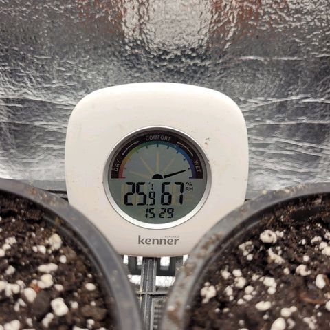 Bubba Kush growlog timeline photo