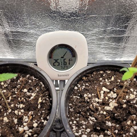 Bubba Kush growlog photo: 730
