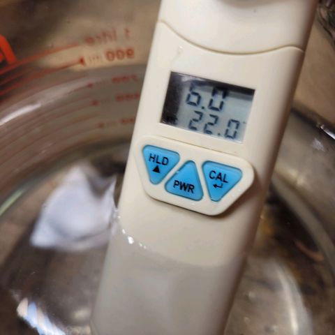 Bubba Kush growlog photo: 730
Distilled water Ph 6.0
