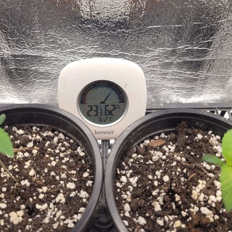 Bubba Kush growlog photo: 630