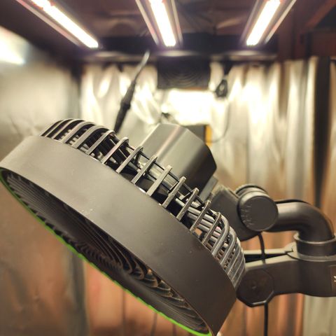Spliffy Kong growlog photo: Top oscillating fan