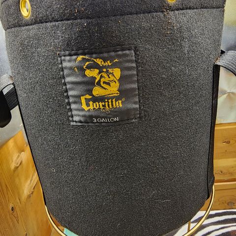 Spliffy Kong growlog photo: Transplanted into 3 gallon fabric pot. Added yellow sticky for preventive measures against fungus gnats 