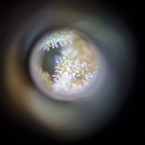 Double Cookies 1 growlog timeline photo