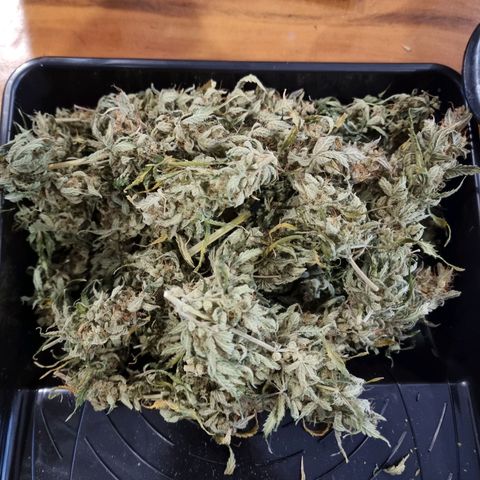 Double Cookies 1 growlog timeline photo