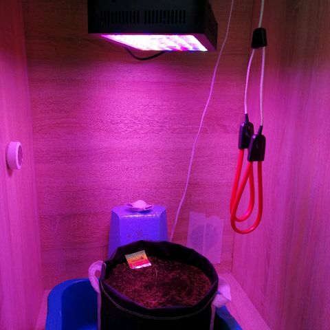 Auto Owen Key growlog timeline photo