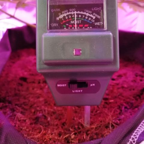 Auto Owen Key growlog timeline photo