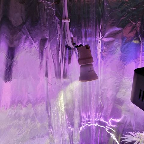Auto Owen Key growlog timeline photo