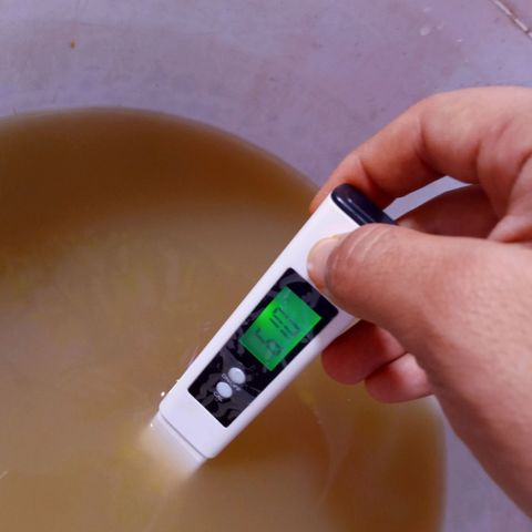 Collie Man Kush #3 growlog timeline photo