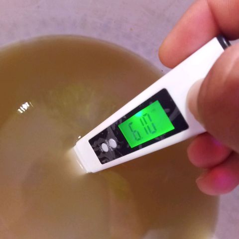Collie Man Kush #3 growlog photo: ph