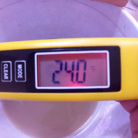 Collie Man Kush #3 growlog photo: Temperature water