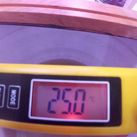 Collie Man Kush #3 growlog photo: Temperature water