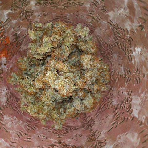 Collie Man Kush #3 growlog photo: 24.6 gr