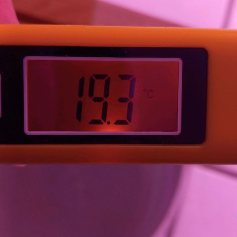 ChicaliWeed420 #1 growlog photo: Measure