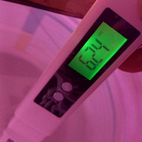 ChicaliWeed420 #1 growlog photo: Measure