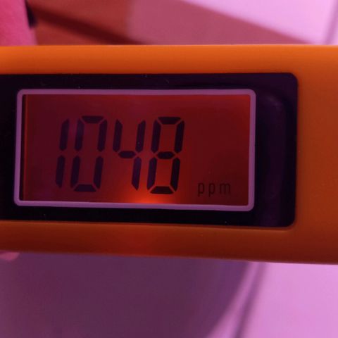 ChicaliWeed420 #1 growlog photo: Measure