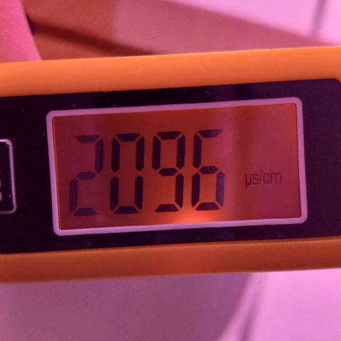 ChicaliWeed420 #1 growlog photo: Measure