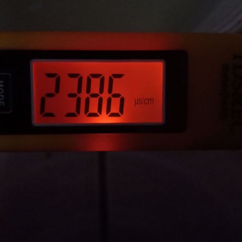 ChicaliWeed420 #1 growlog timeline photo