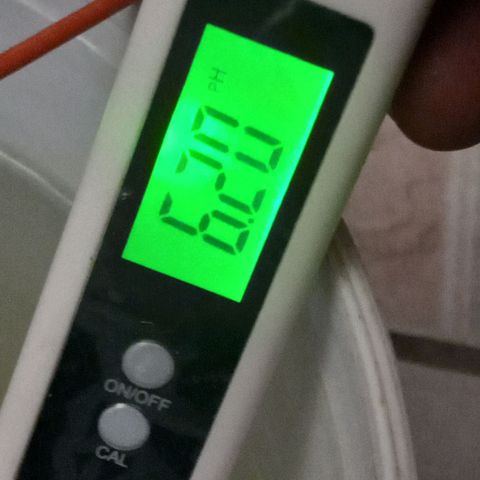 ChicaliWeed420 #1 growlog timeline photo
