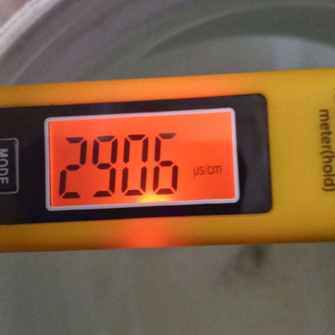 ChicaliWeed420 #1 growlog timeline photo