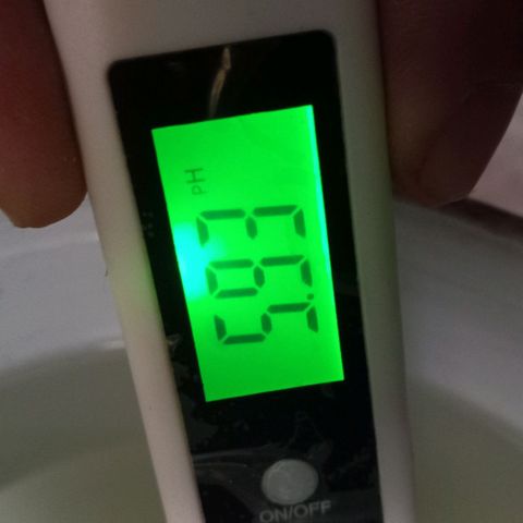 ChicaliWeed420 #1 growlog timeline photo