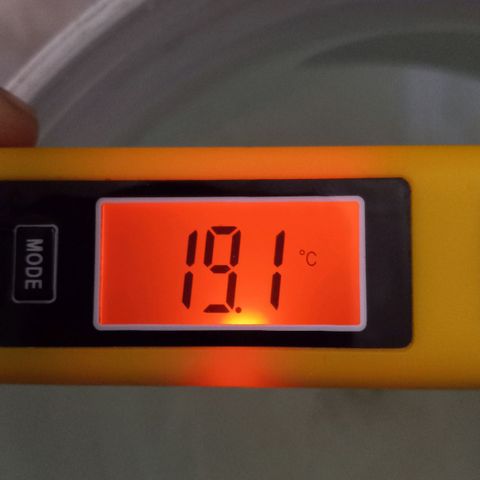 ChicaliWeed420 #1 growlog timeline photo