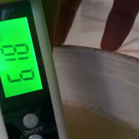 ChicaliWeed420 #1 growlog timeline photo