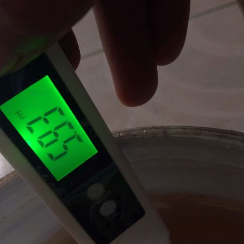 ChicaliWeed420 #1 growlog timeline photo
