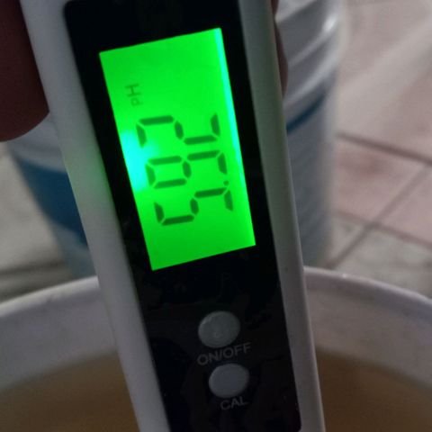 ChicaliWeed420 #1 growlog timeline photo