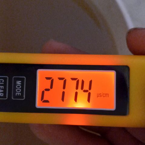 ChicaliWeed420 #1 growlog timeline photo