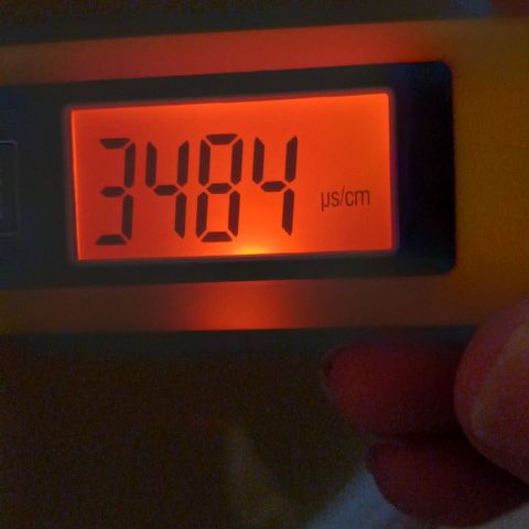 ChicaliWeed420 #1 growlog timeline photo