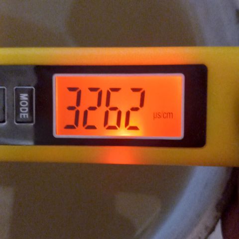 ChicaliWeed420 #1 growlog timeline photo