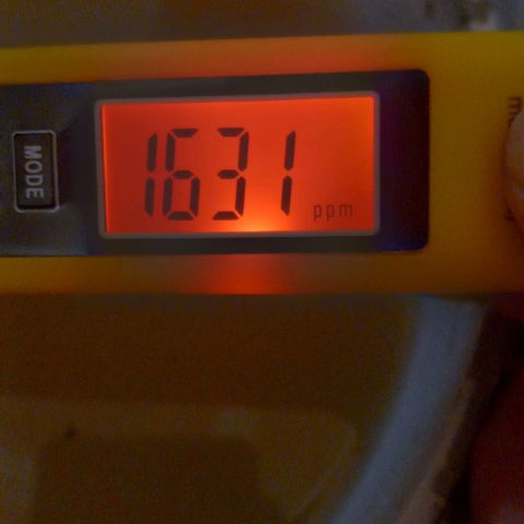 ChicaliWeed420 #1 growlog timeline photo