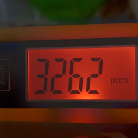 ChicaliWeed420 #1 growlog timeline photo