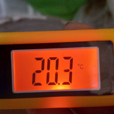 ChicaliWeed420 #1 growlog timeline photo