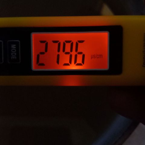 ChicaliWeed420 #1 growlog timeline photo