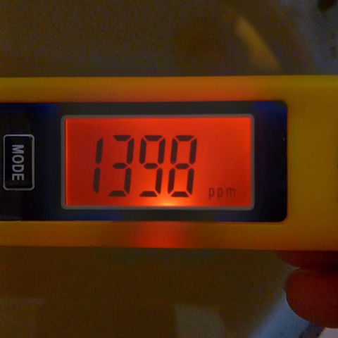 ChicaliWeed420 #1 growlog timeline photo