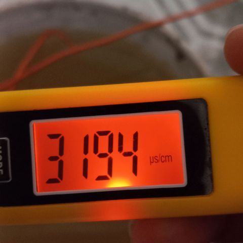 ChicaliWeed420 #1 growlog timeline photo