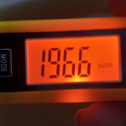 ChicaliWeed420 #1 growlog timeline photo