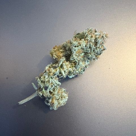 Tropicana Cookies growlog timeline photo