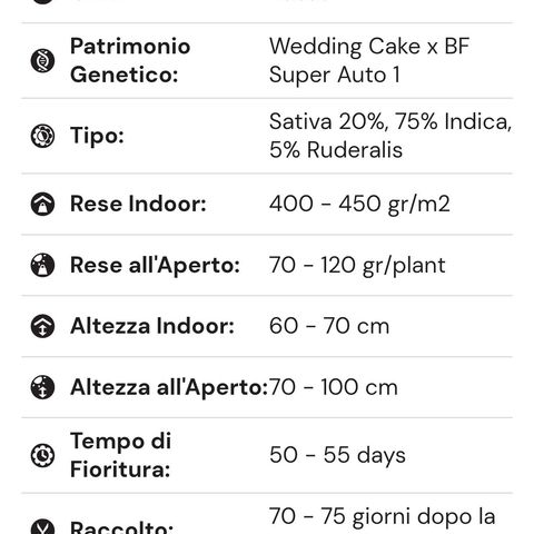 Wedding Cake Automatic growlog timeline photo